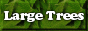 This button takes you to the large trees page.
